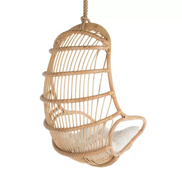 Aindriu Porch Swing | Wayfair North America