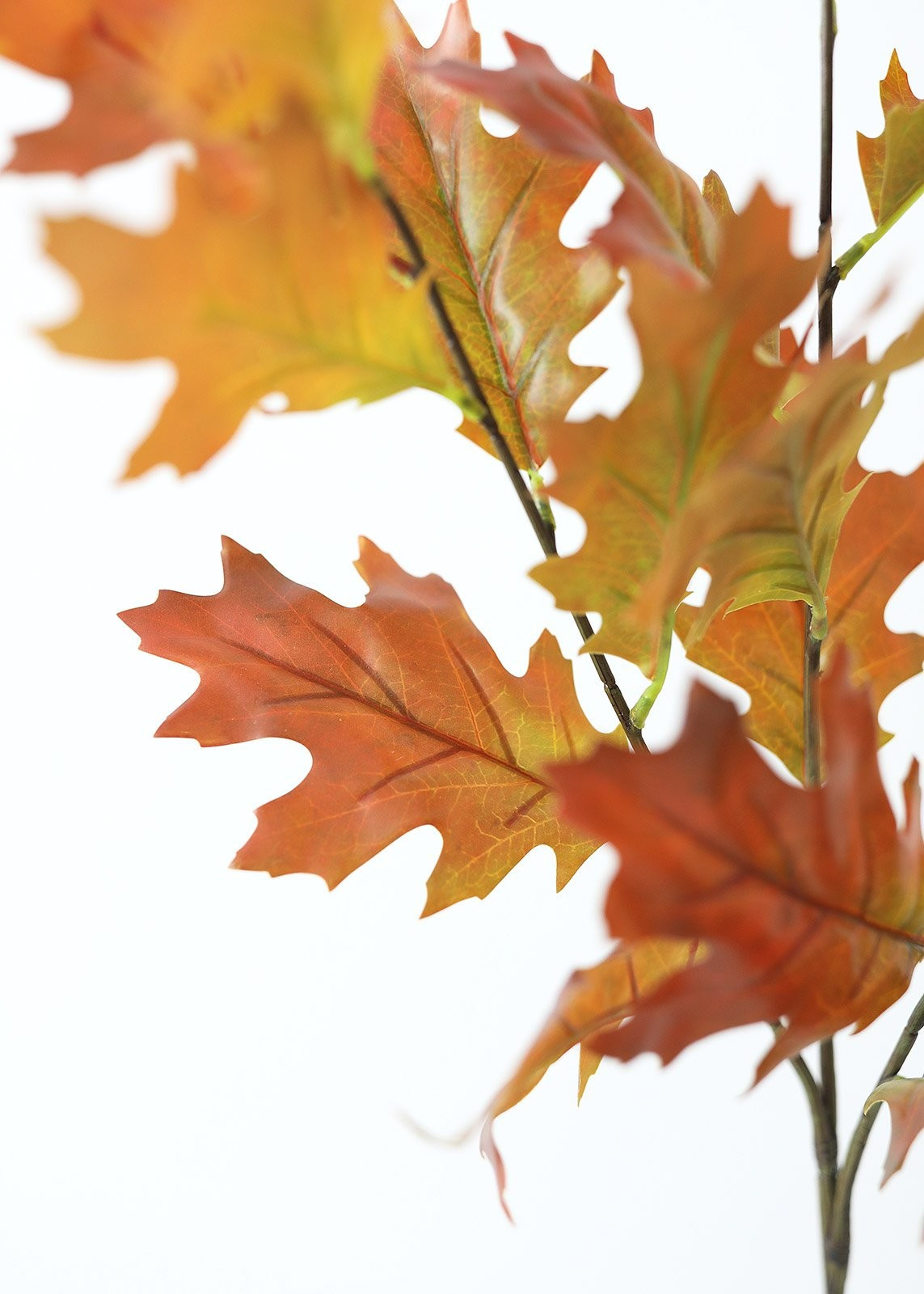 Autumn Orange Artificial Fall Oak Leaf Branch - 38" | Afloral (US)