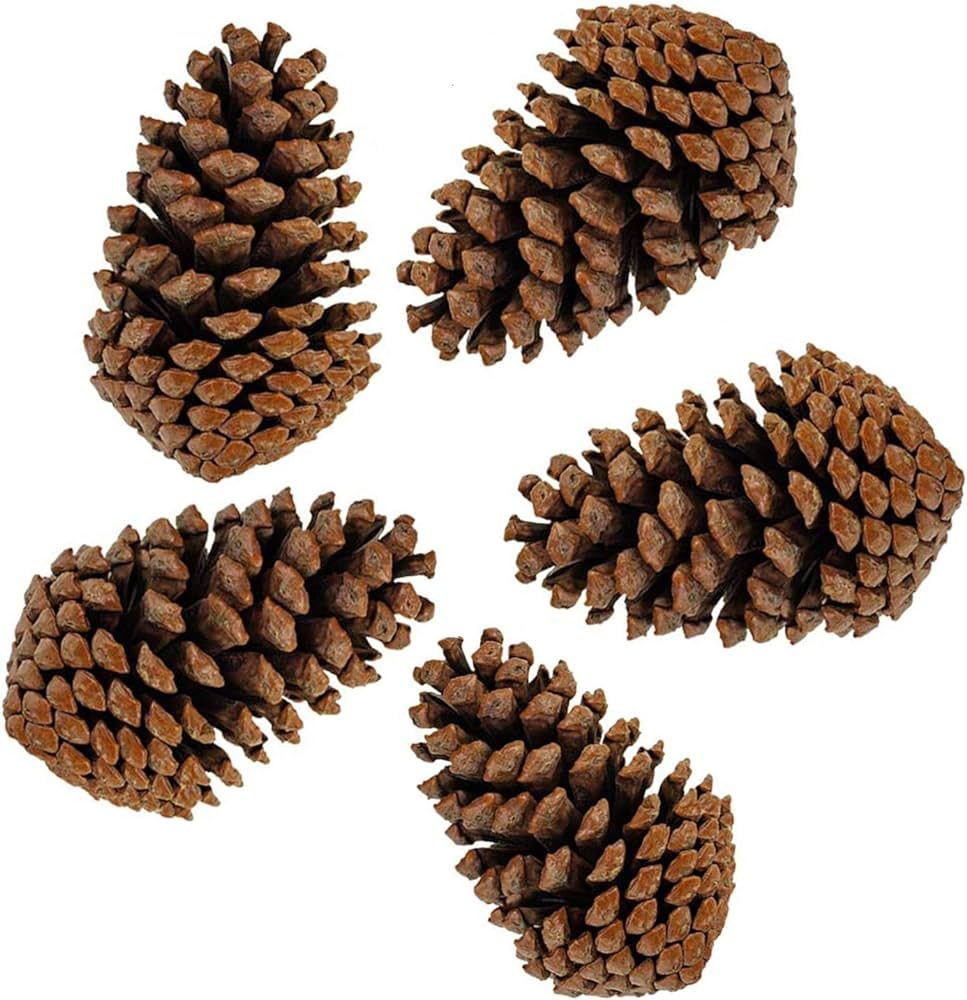 PineCones Tall Bulk Package All Natural,Real Preserved Pine Cones Big Pinecones and Perfect Natur... | Amazon (US)