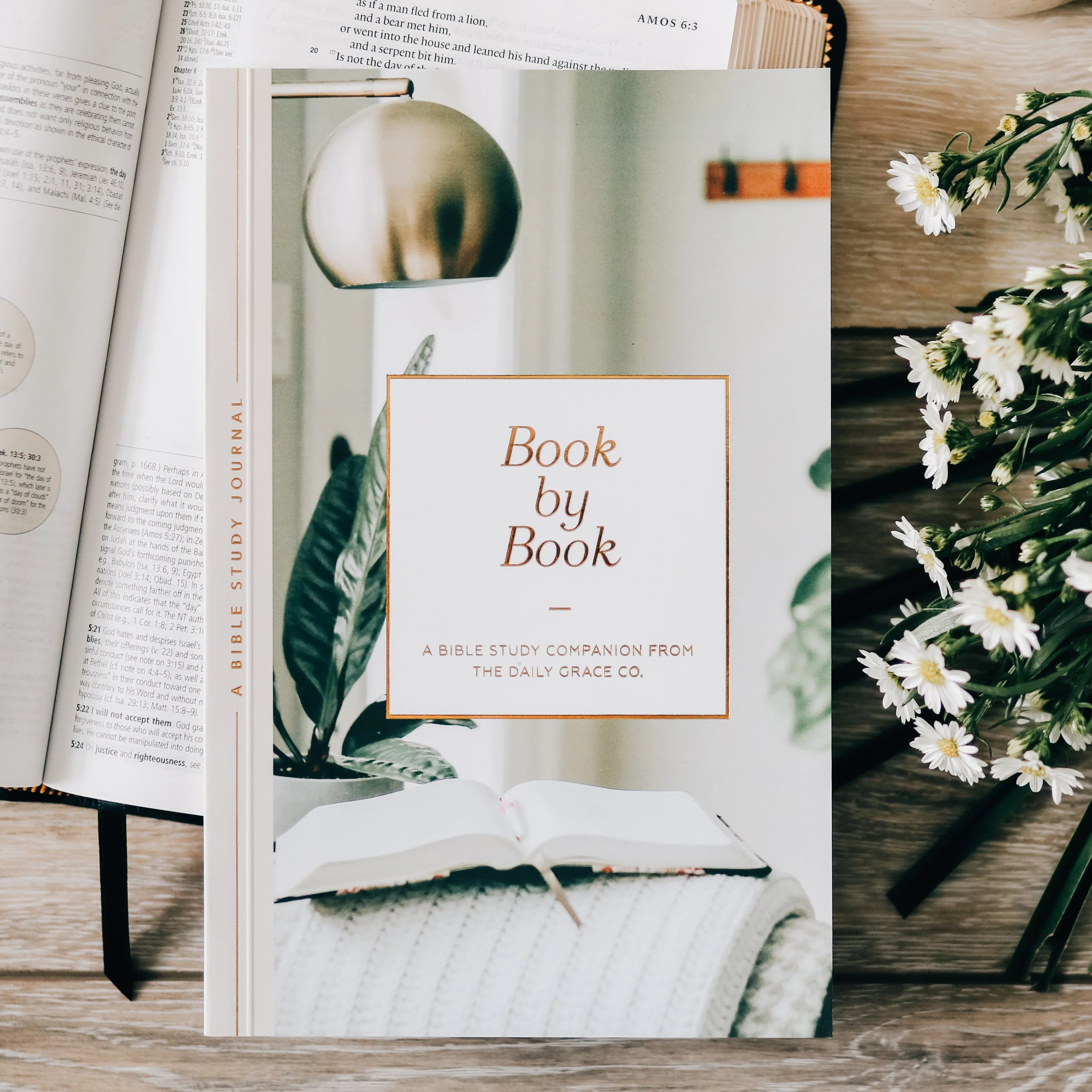 Book by Book | The Daily Grace Co.