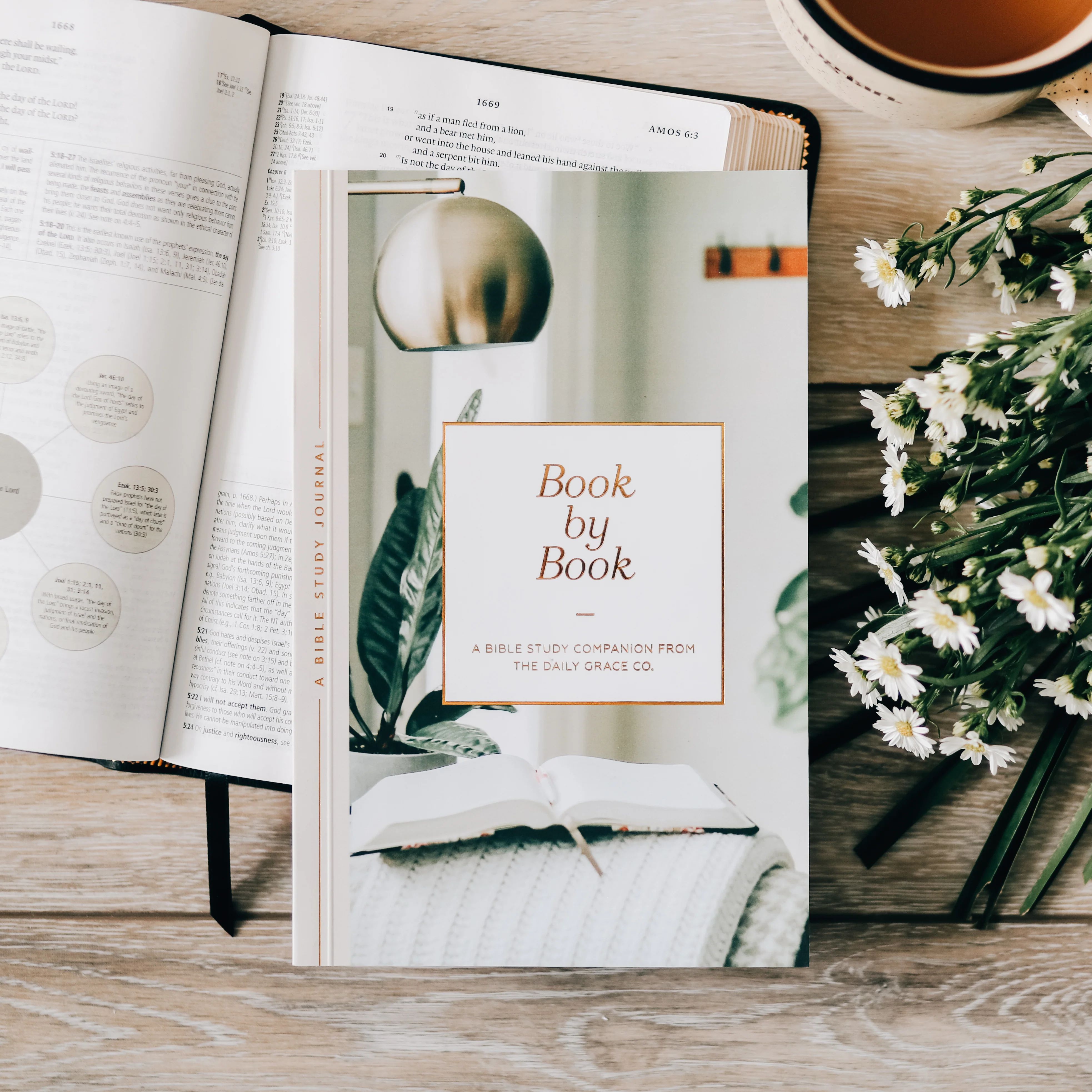 Book by Book | The Daily Grace Co.