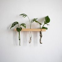 Plant Propagation Wall Hanging Station, Test Tube Planter, Hanger | Etsy (US)