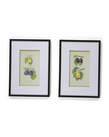 Set Of 2 20x28in Botanical Wall Arts | Home | Marshalls | Marshalls