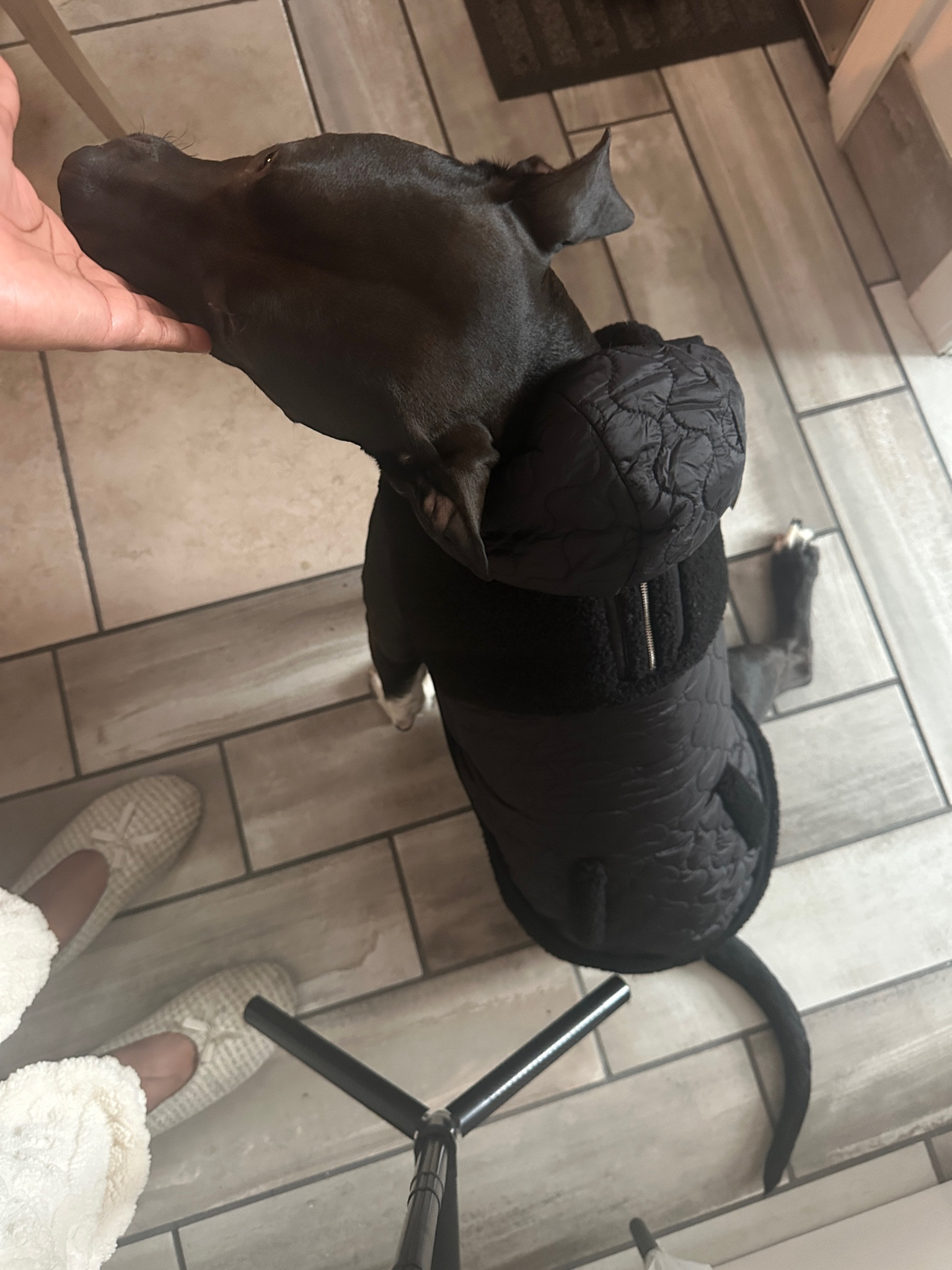 Snow day in Chicago my baby boy just got the cutest new coat & it’s less than $20! Also, sharing some other cute options! 


#LTKSeasonal