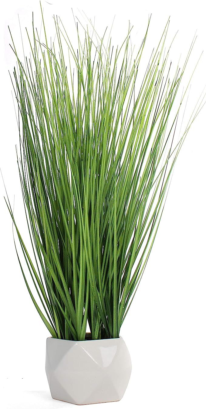 Bornbridge Artificial Grass Plant - Fake Plant in Planter - Faux Grass Plant with Ceramic Geometr... | Amazon (US)