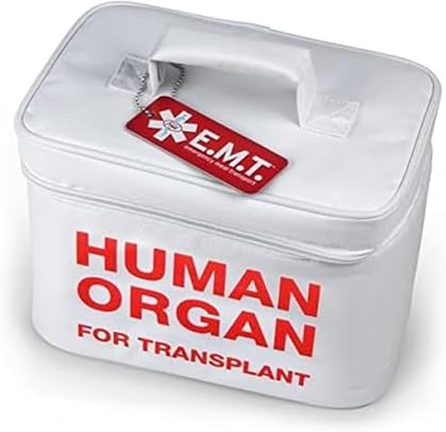 Genuine Fred | Amazon (US)