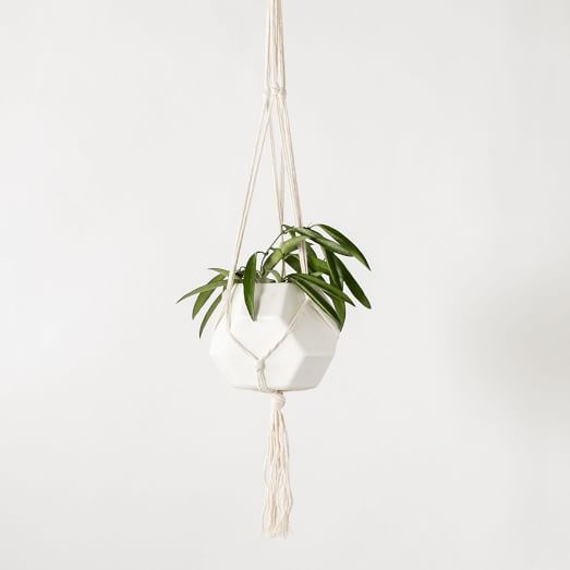 Convivial Woven Hanging Planter | West Elm (US)
