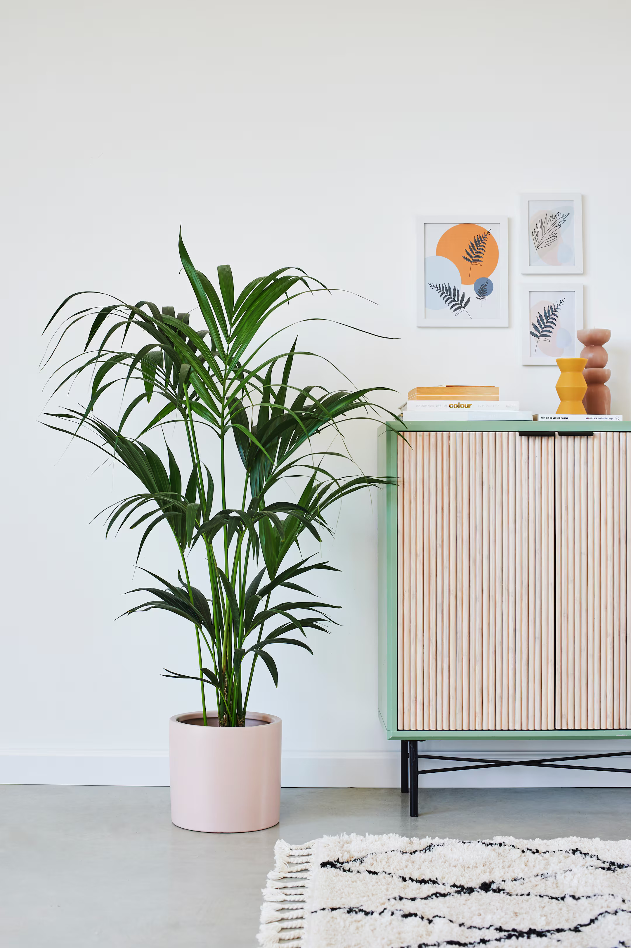 Kentia Palm - H100cm - Home All | H&M GB | H&M (UK, MY, IN, SG, PH, TW, HK)
