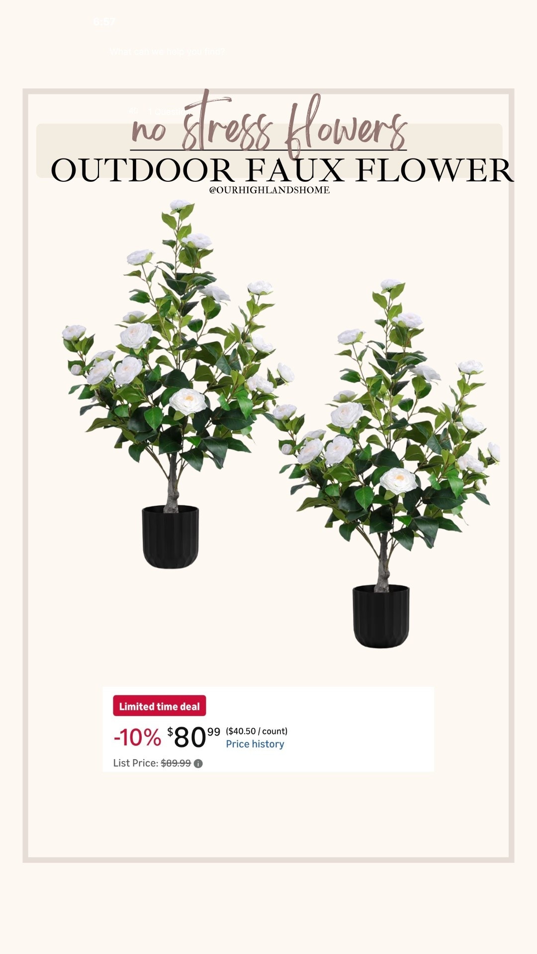 love these - have been eyeing them up bc they look so beautiful in planters. now on sale and $40 each which is an amazing price!

#LTKHome #LTKSeasonal #LTKSaleAlert