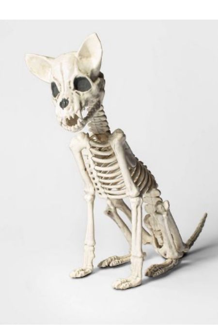 Halloween skeleton dog 


#LTKHalloween #LTKSeasonal #LTKhome
