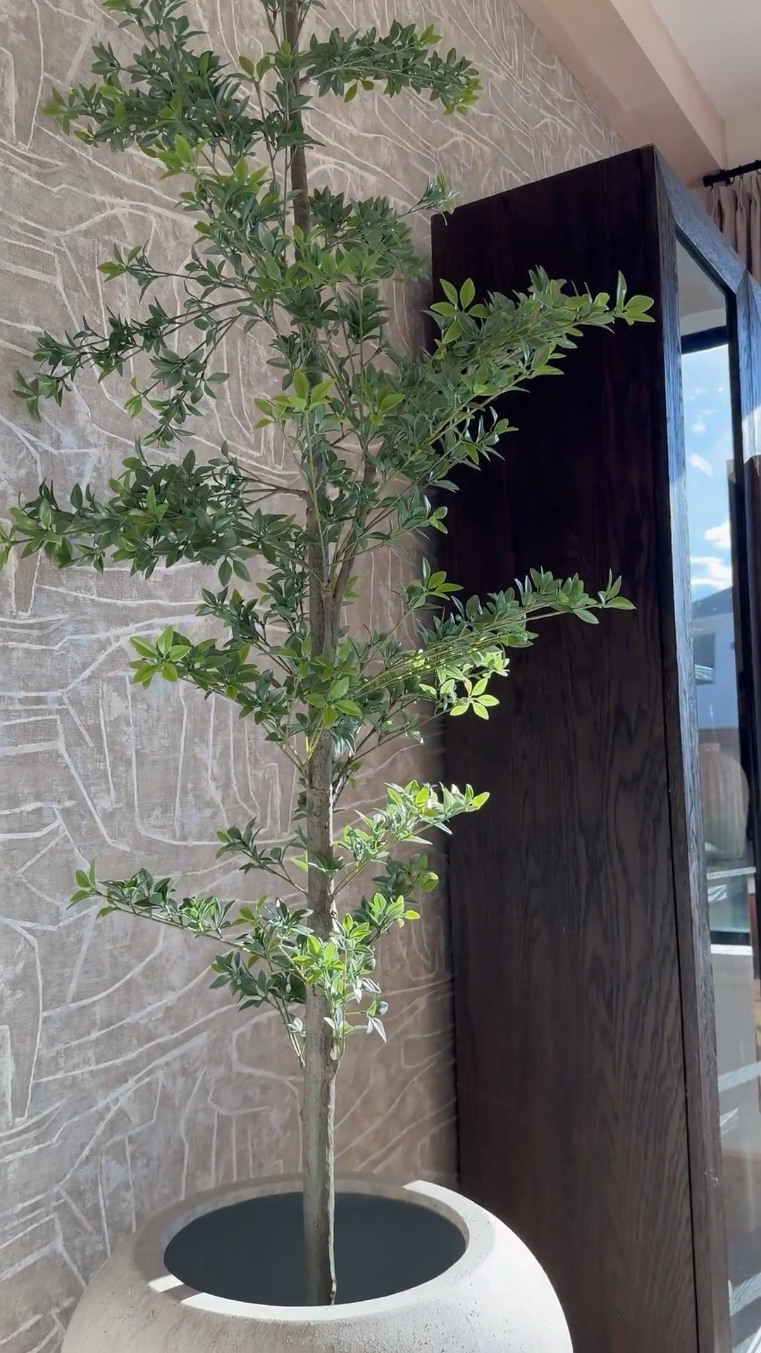 I am absolutely loving this planter from Pottery Barn! It's gorgeous, and the best part is that it's so versatile - it works perfectly for both bigger trees and smaller ones too! 🌳 I love it so much that I actually ended up buying another one, haha! 😆 It's definitely a game-changer for decorating any space. 

#LTKHome #LTKStyleTip #LTKSaleAlert