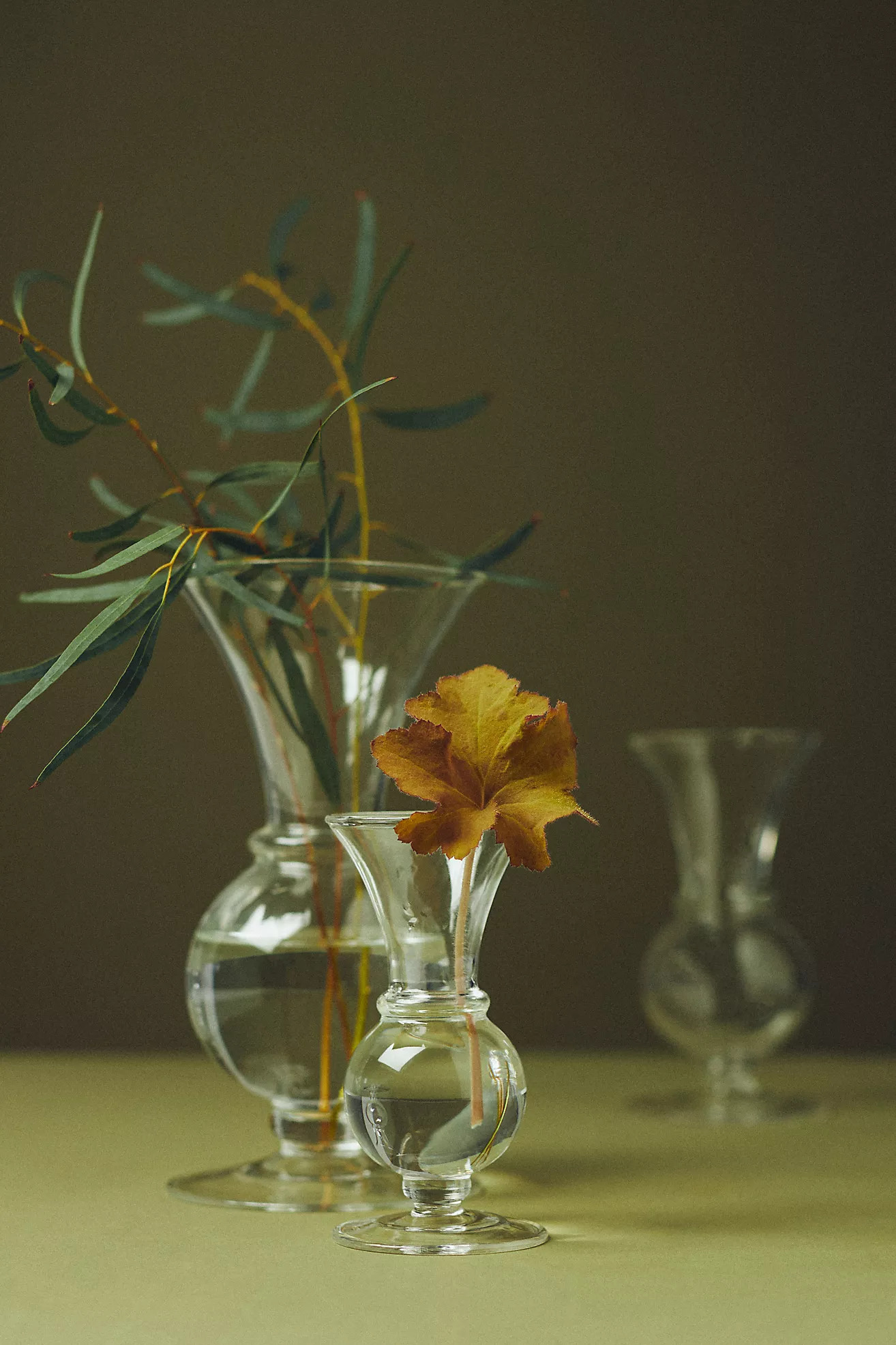 Claire Glass Bud Vase | Anthropologie (US)