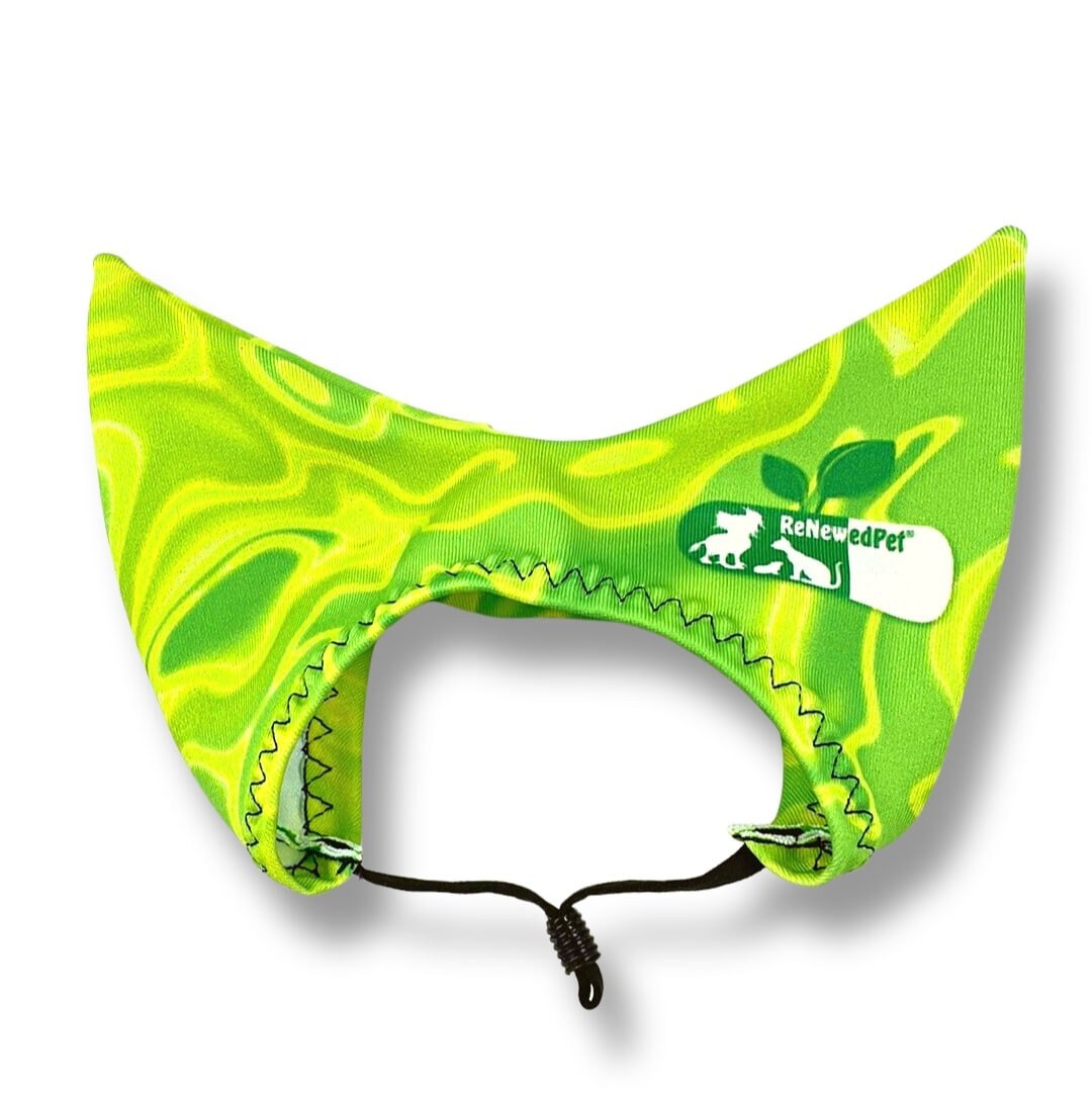 PET SHOWER CAPS! | Etsy (US)