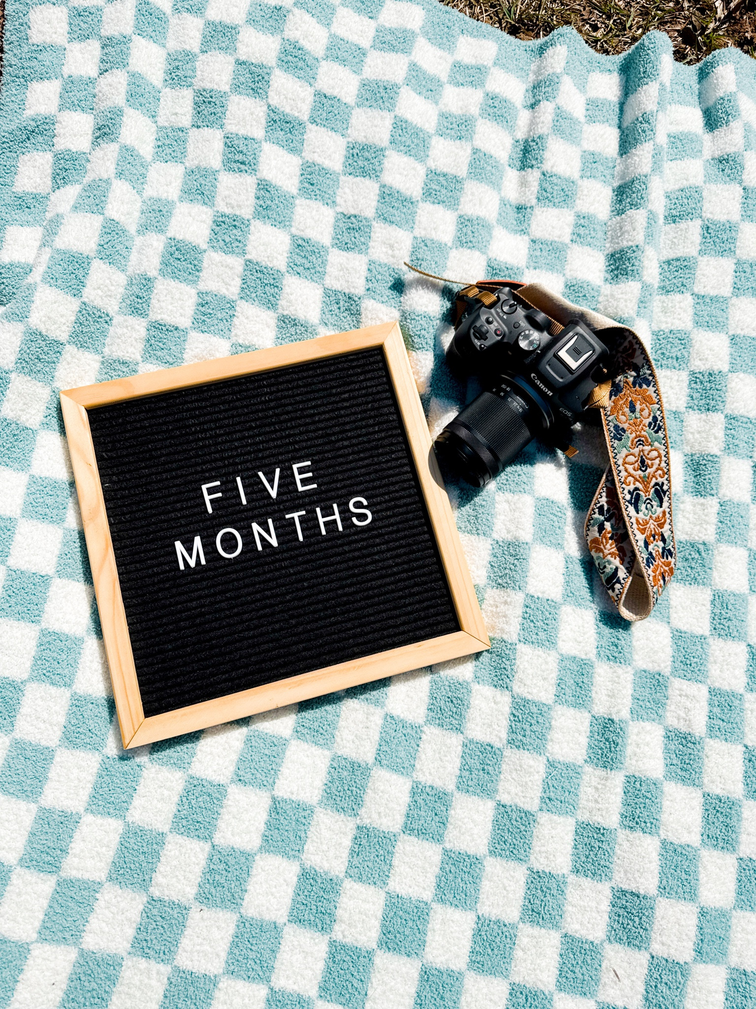 Monthly milestone pic inspo!

#LTKBaby #LTKBump #LTKMostLoved