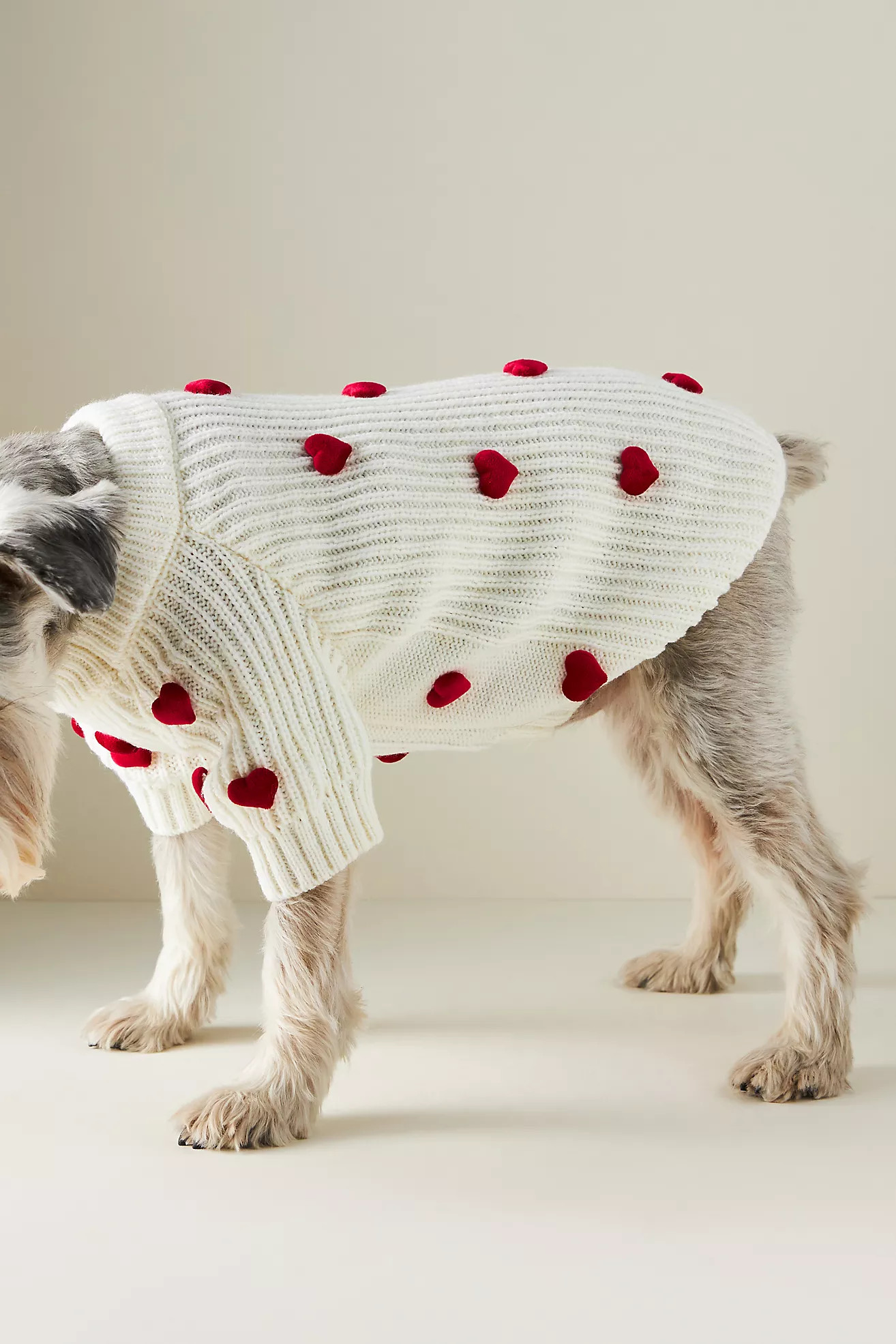 3D Motif Pet Sweater | Anthropologie (US)