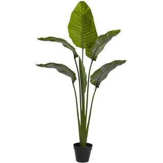 64-inch Travellers Palm Tree UV Resistant (Indoor/Outdoor) | Bed Bath & Beyond