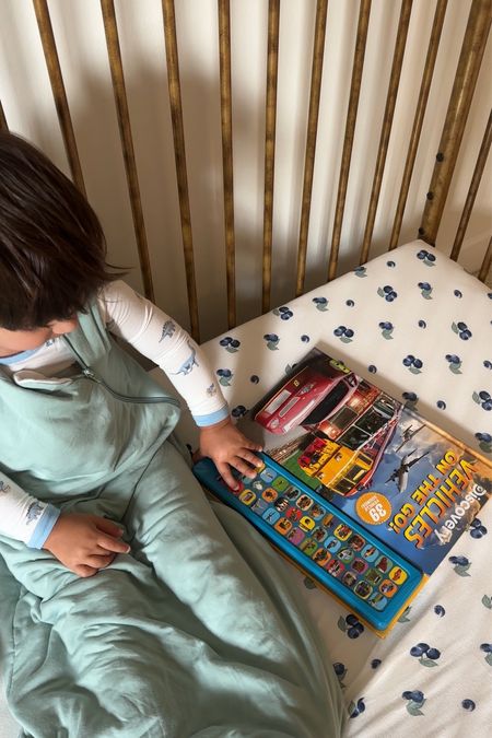 Jackson’s favorite toddler books,
Sleep sack, crib sheets, baby pajamas

#LTKKids #LTKBaby