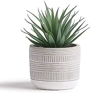 Kurrajong Farmhouse 7.5 x 4.5 Artificial Plant in Pot Beautiful Feaux Plant for Bedroom Decor, Sh... | Amazon (US)