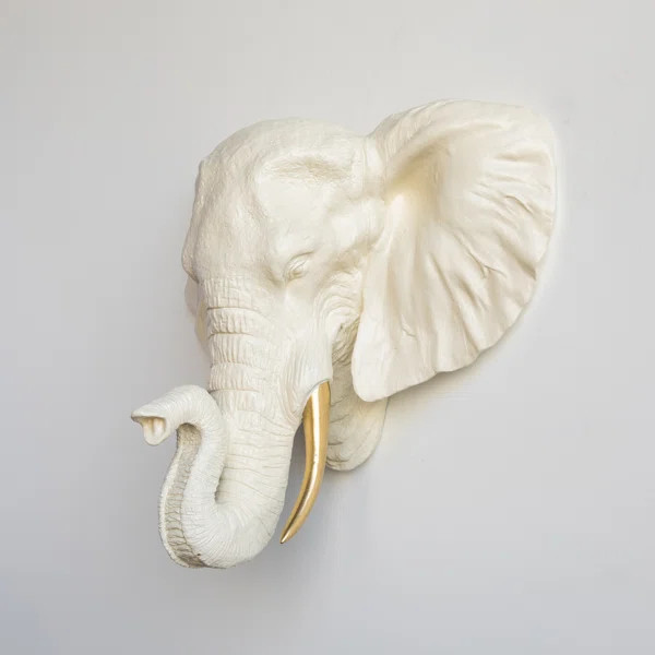Coatbridge Elephant Head Faux Taxidermy | Wayfair North America