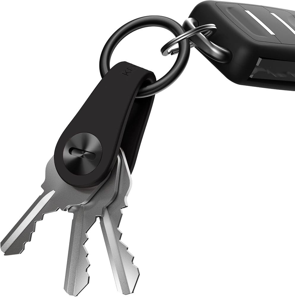 KeySmart Mini Key Organizer Keychain Holder - Compact Key Holder for Keychain Key Case, Key Smart... | Amazon (US)