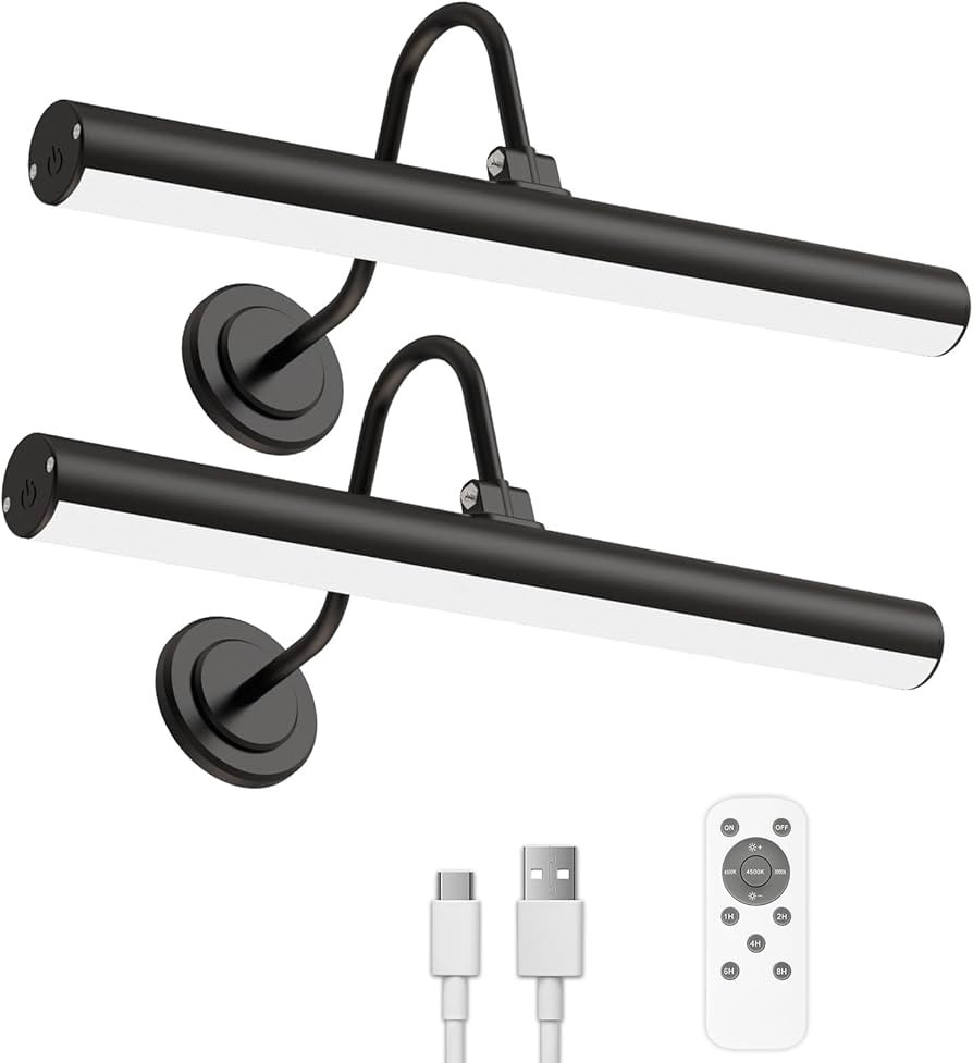 Bridika 2 Pack Picture Light Battery Operated, Rechargeable Picture Light with Remote, 3 Color Mo... | Amazon (US)