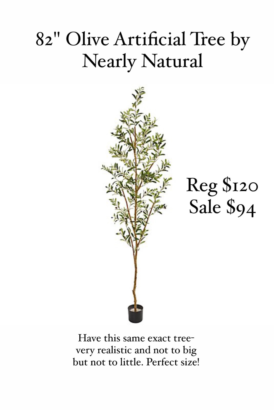 Faux olive tree

#LTKSeasonal #LTKCyberweek #LTKGiftGuide
