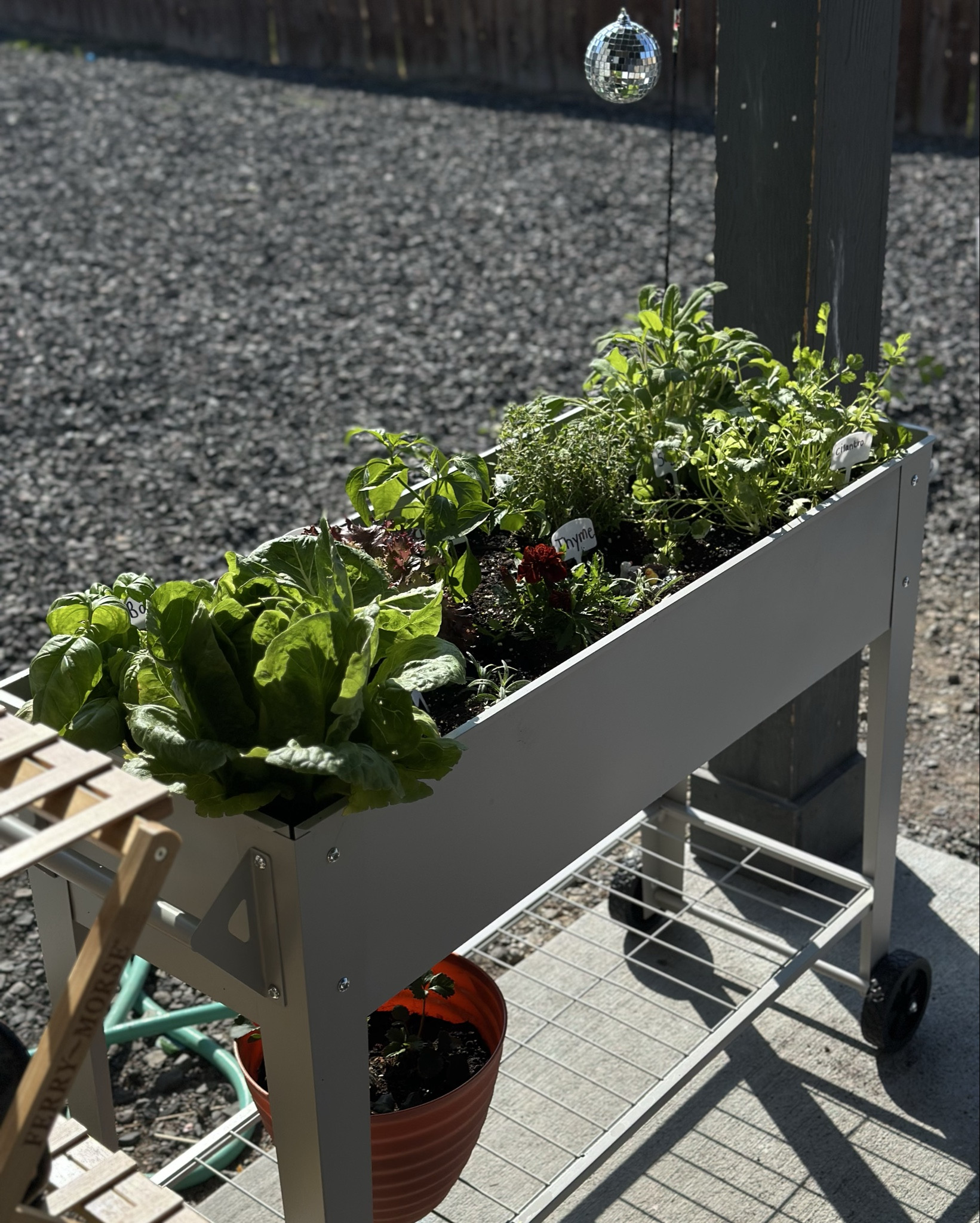 Raised bed for patio garden 🪴 
#patiogarden 

#LTKHome #LTKSeasonal #LTKKids
