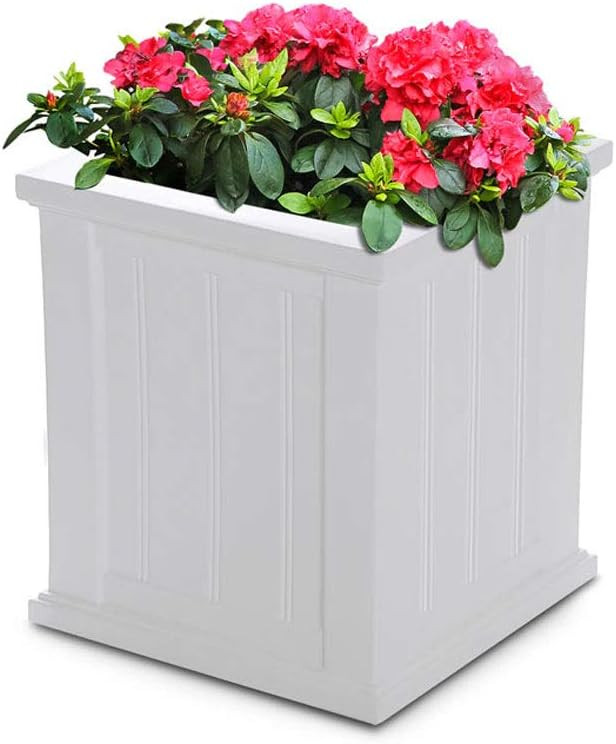 Visit the Mayne Store | Amazon (US)