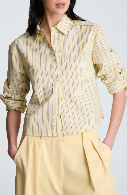 Kenneth Cole Stripe Crop Button-Up Shirt in Pastel Yellow Multi at Nordstrom, Size Large | Nordstrom