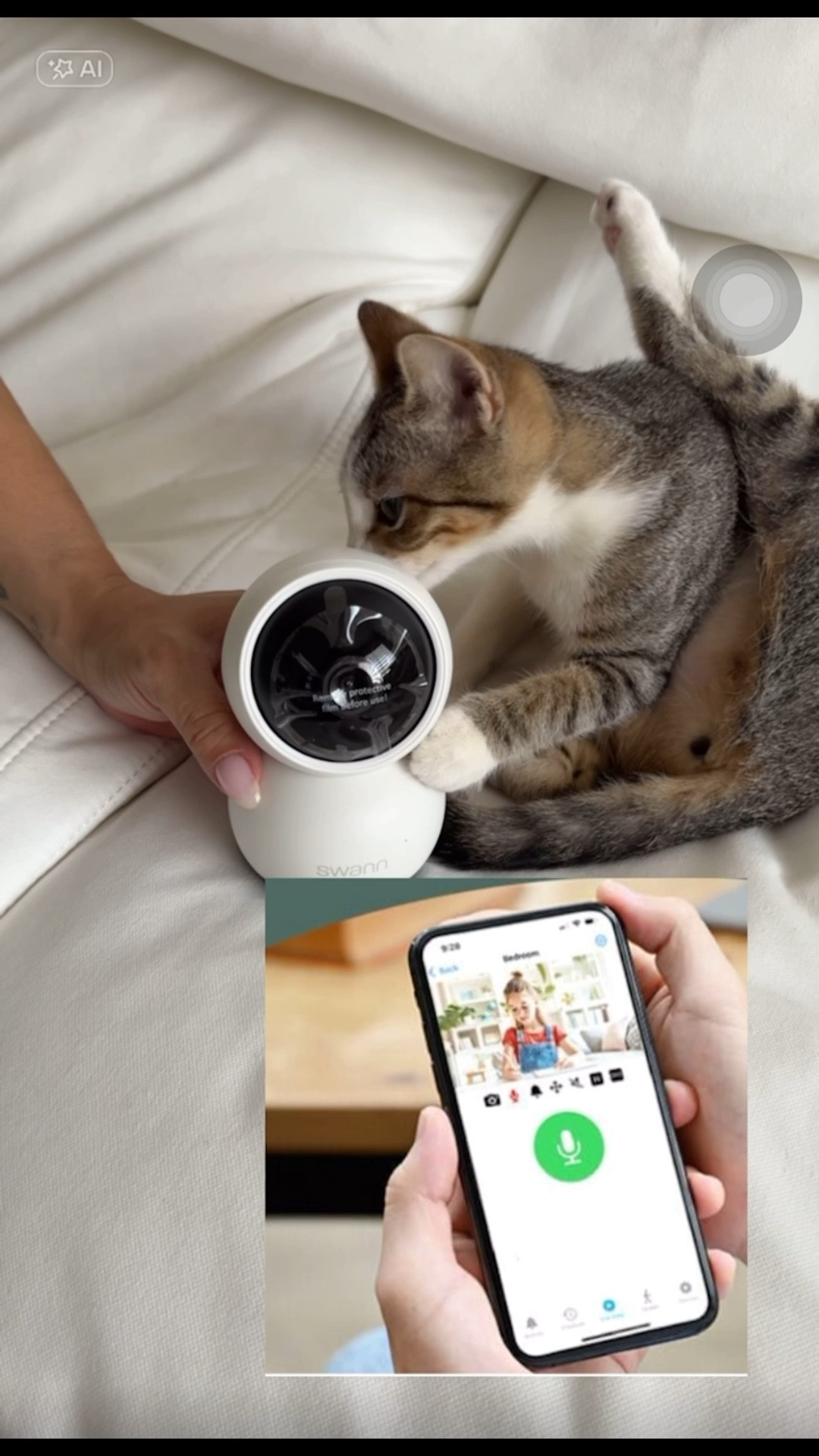 La mejor cámara para vigilar a tu gato + otras recomendaciones para consentirlo 🐱