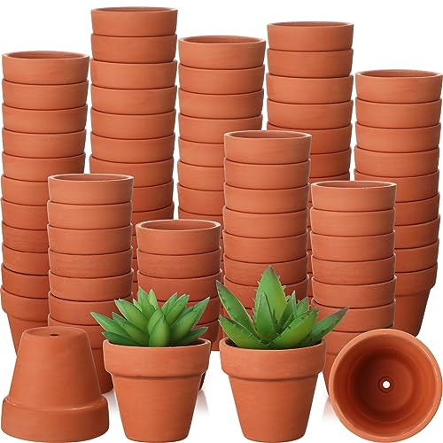 Sliner 150 Pcs Small Clay Pots 2 Inch Terracotta Plant Pots Plant Planters Bulk with Drainage Hole Mini Terra Cotta Cactus Flower Nursery Succulent Terracotta Planter for Indoor Outdoor Craft Wedding | Amazon (US)