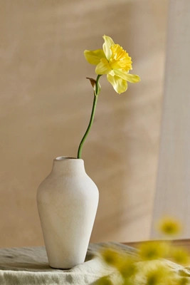 Faux Narcissus Stem, Yellow | Anthropologie (US)