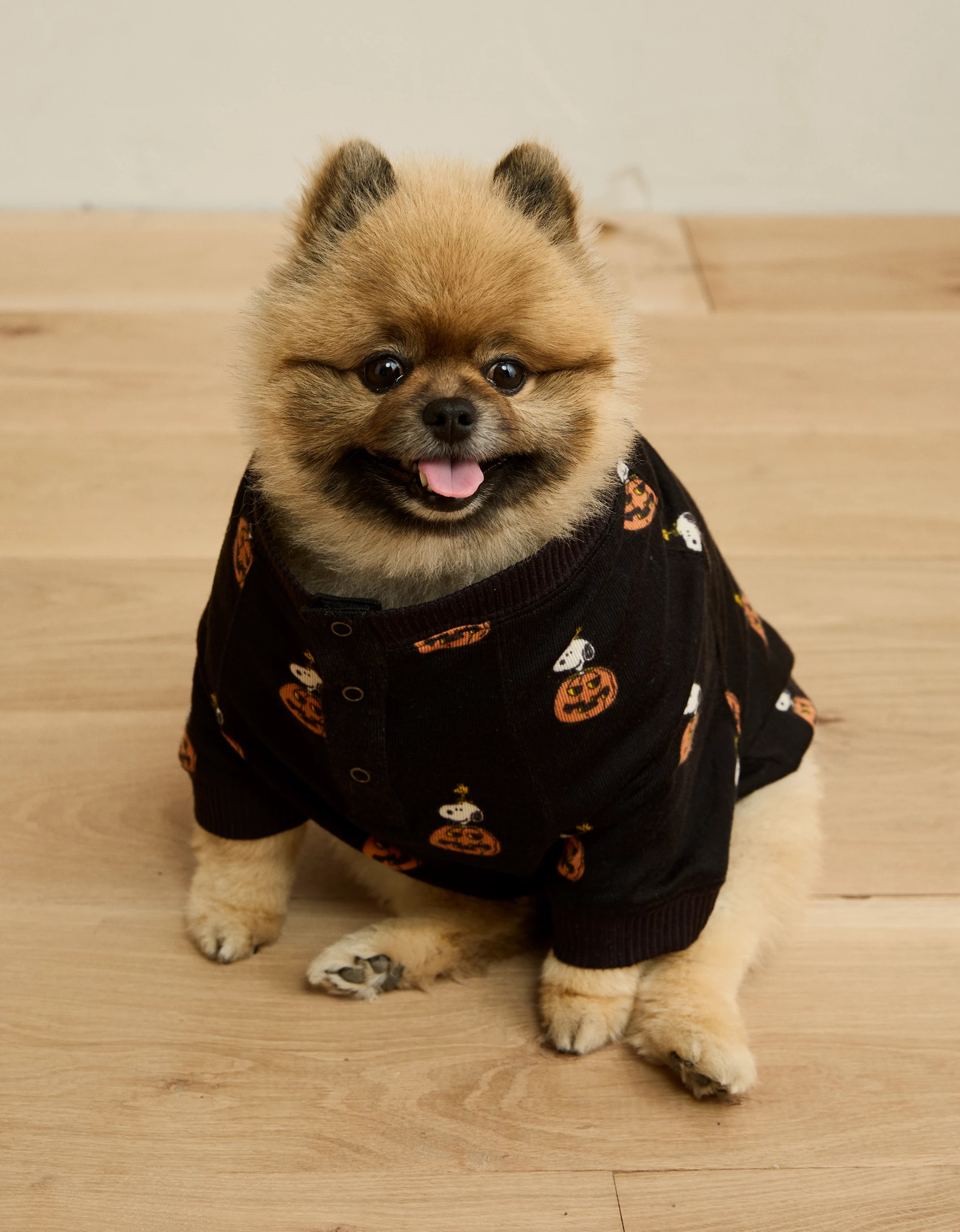 ABO Luxe Plush Snoopy PJ Top | American Eagle Outfitters (US & CA)