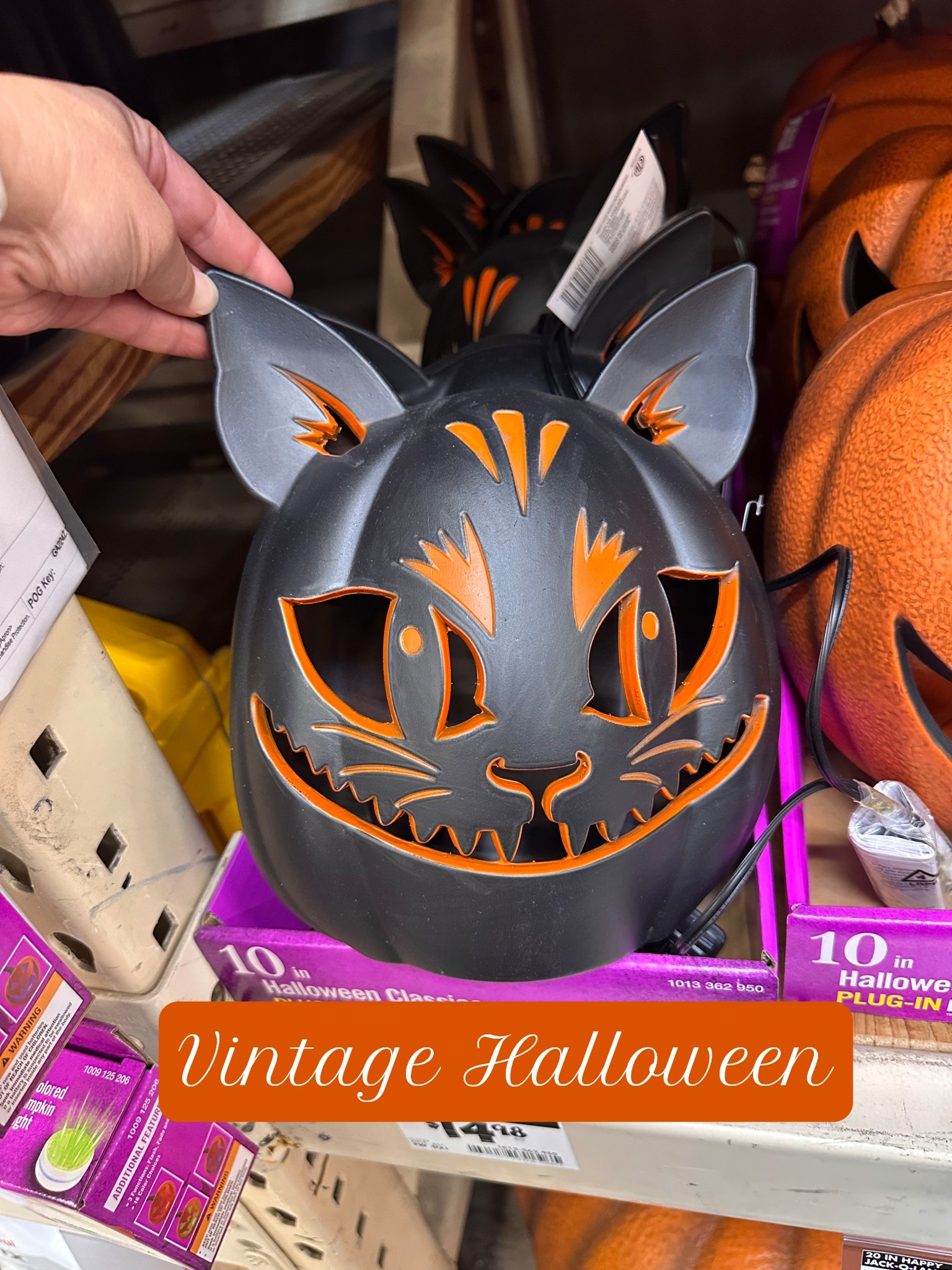 Vintage Halloween decor is popping up and I detect a trend I AM HERE FOR! Check out this cute light up cat!

#LTKSeasonal #LTKFindsUnder50 #LTKHome