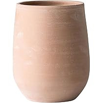 Creative Co-Op Unglazed Crock, 6.25", Natural Terracotta | Amazon (US)