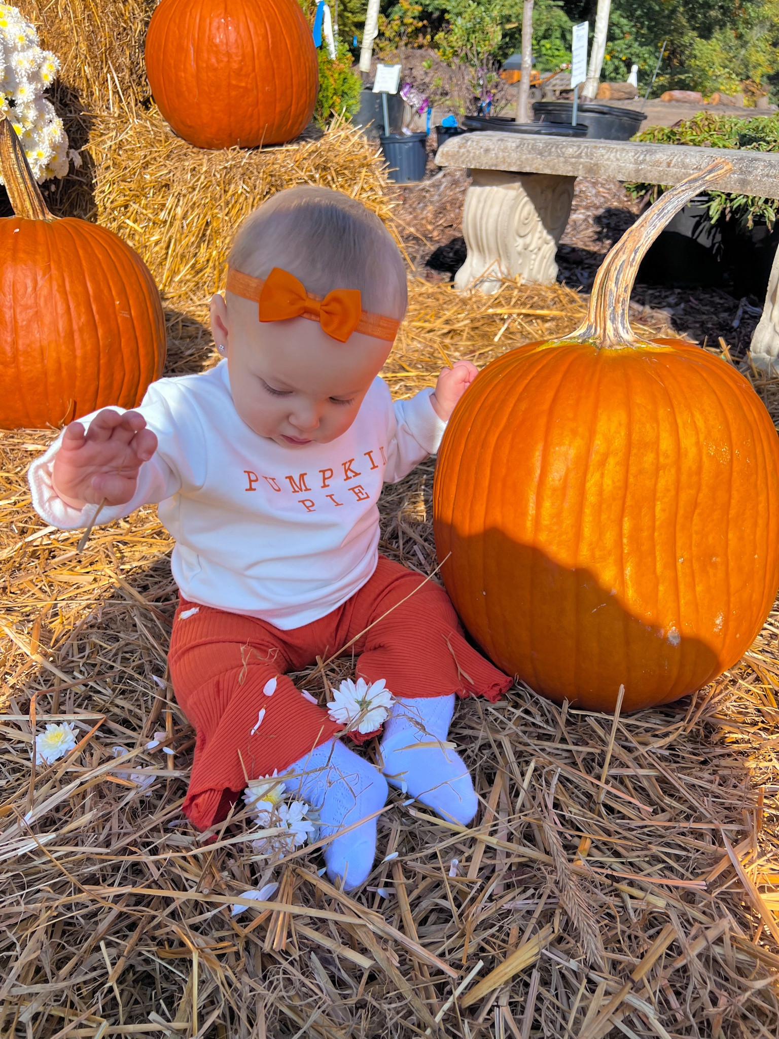 🎃

Pumpkin pie, baby outfit, pumpkin season, pumpkin patch, toddler outfit, fall season, halloween, pumpkin

#LTKSeasonal #LTKbaby #LTKHalloween