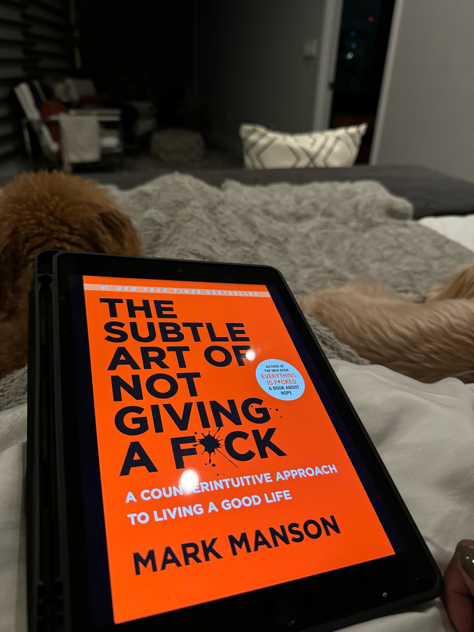 New book: The Subtle art of not giving a F*ck