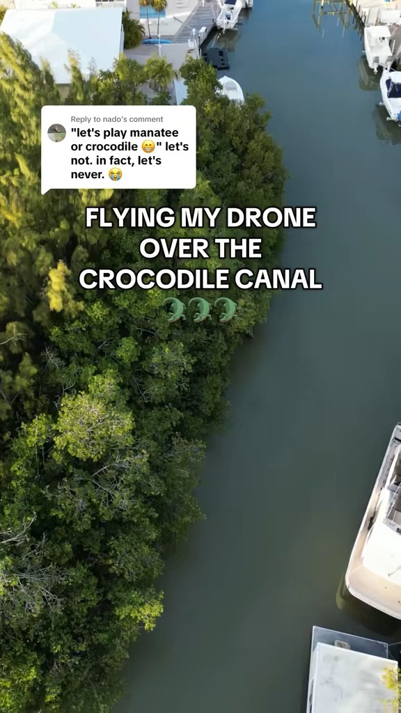 Did you spot the croc in this video?👀🐊

#LTKTravel #LTKSwim #LTKActive