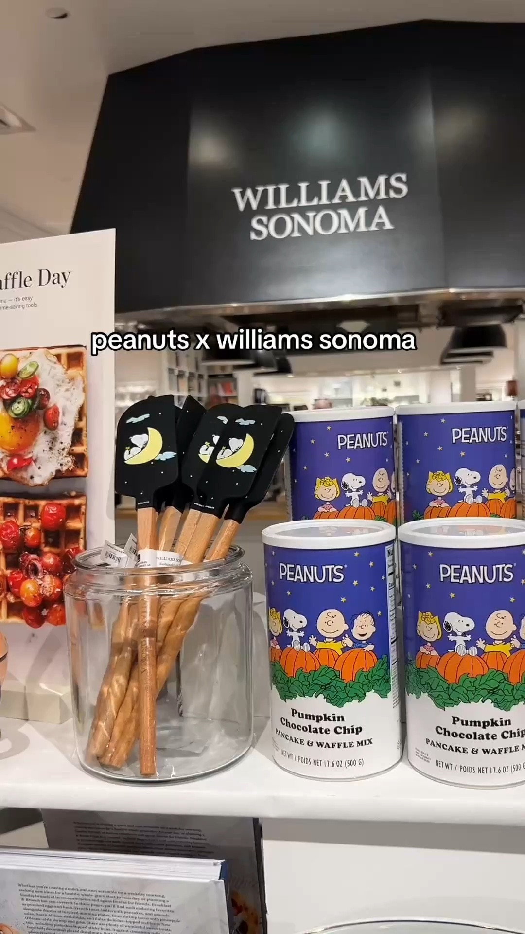 Peanuts x Williams Sonoma! 🧡

#peanuts #williamssonoma #home #kitchen #snoopy #baking #cooking 

#LTKHome #LTKParties #LTKSeasonal
