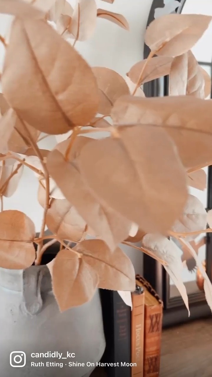 Just a little spooky touch here & there. 
Watcha think? 

Vase, magnolia leaves, fall leaves, pumpkin candle, candelabra, candle holder, black flame candle, hocus Pocus 
.
.

#Itkseasonal #falldecor #worldmarket #spookyseason #coastalfarmhousestyle #consoletable #ltkhome #consoletabledecor #consoletablestyling #targetstyle #farmhousestyle #neutraldecor #farmhousedecor #nomedecor #modernfarmhouse #falldecor #fallinspo #foyerdecor #decorideas #kirklands #homeinspo #homedesign #targetstyle #sharemytargetstyle #farmhouse #lovelydecorhomes #agreeablegray #beautifuldecorstyles #falldecorideas #halloweendecor #spookyszn #halloween

#LTKhome #LTKSeasonal #LTKHalloween