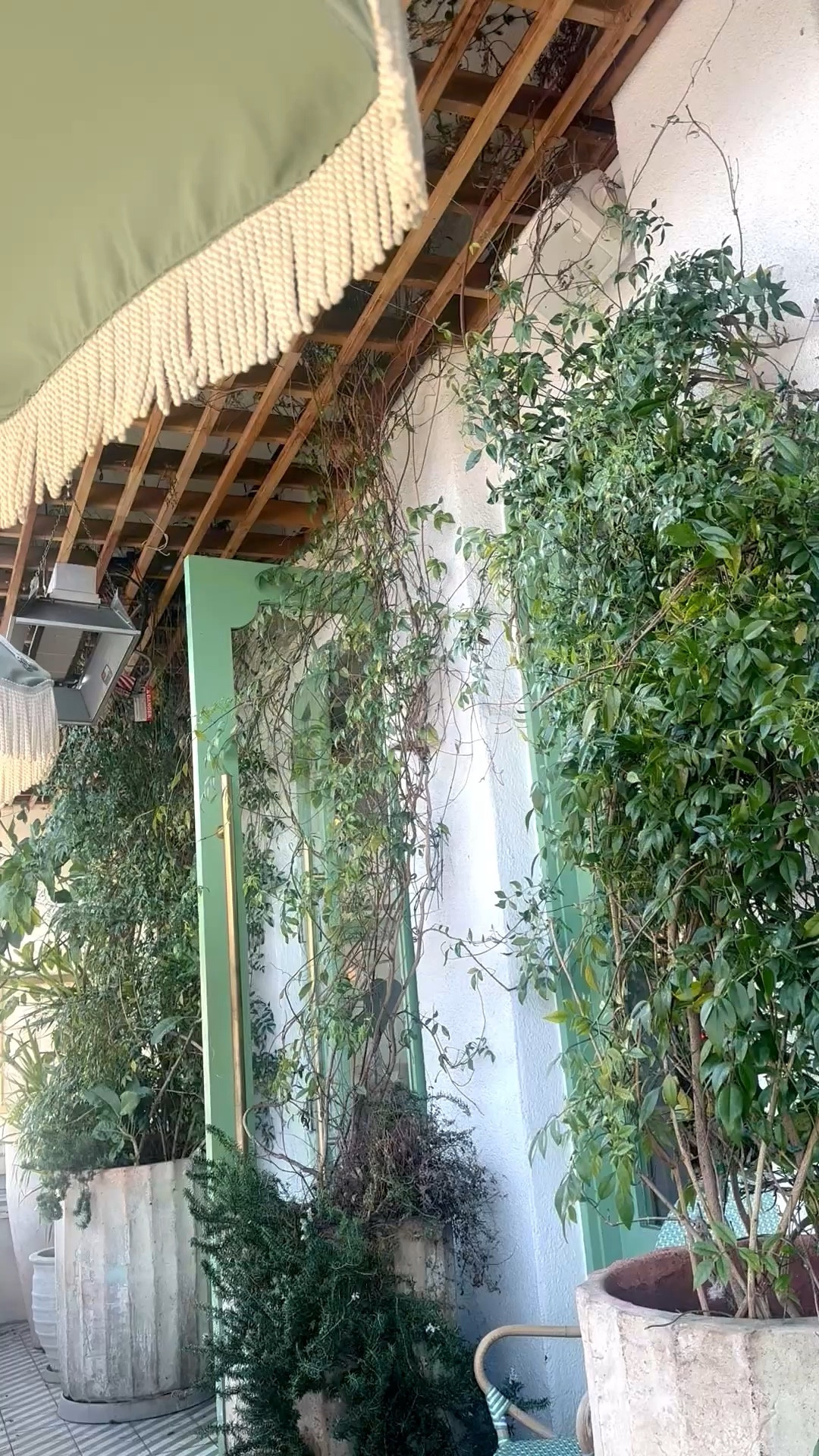 Such a lively patio filled with greenery.

#patioinspiration
#outdoorliving
#gardenpatio
#lushgreenery
#cityoasis
#designinspo
#interiorinspiration

#LTKTravel #LTKvlog #LTKdayinmylife