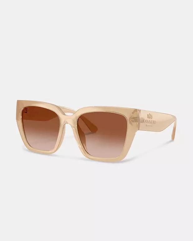 Oversized Cat Eye Sunglasses | Coach Outlet US