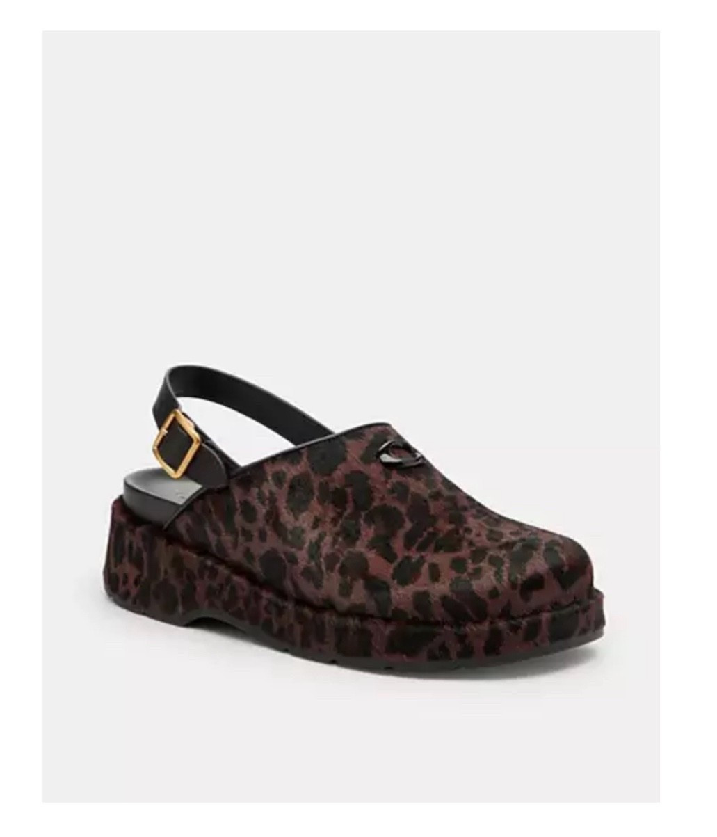 Check out my latest coach find! Aren’t these too cute for Fall!? 

#LTKSeasonal #LTKWorkwear #LTKStyleTip