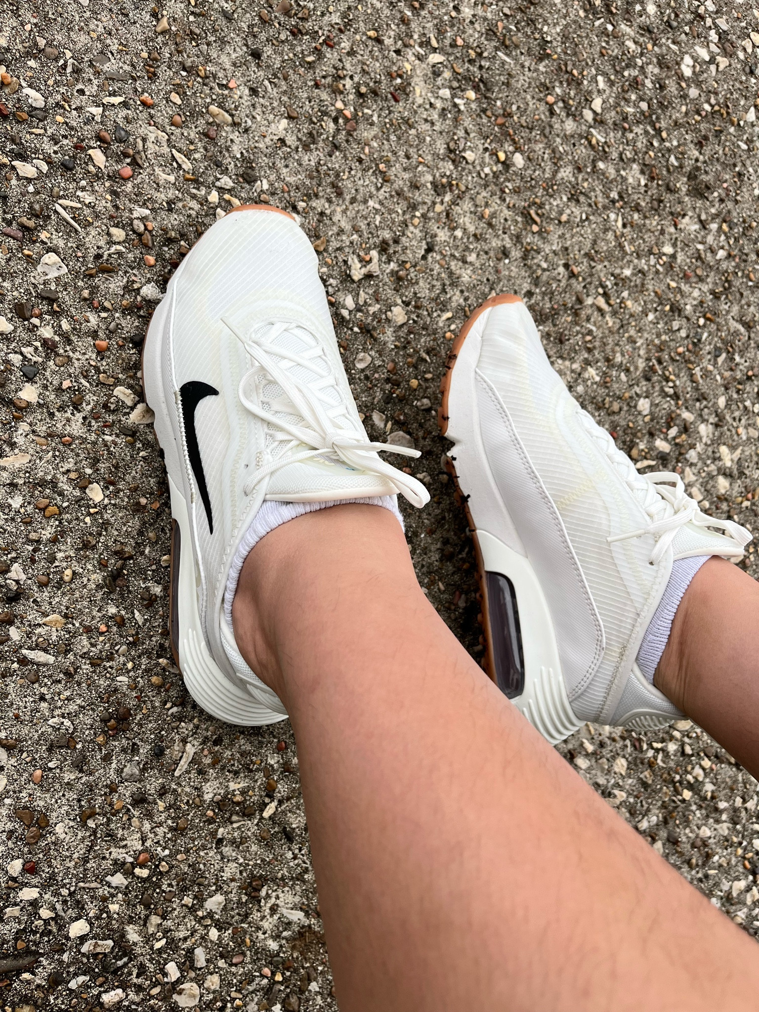 New gym shoes, TTS

#LTKfit #LTKFind #LTKshoecrush