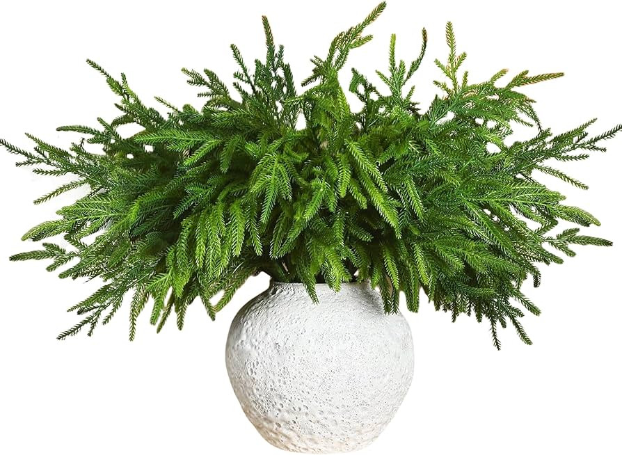 HPC DECOR 12 Pcs Christmas Norfolk Pine Branches,18in Norfolk Pine Garland Artificial Christmas B... | Amazon (US)