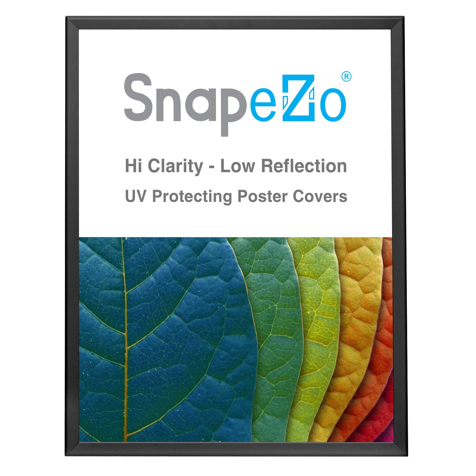 SnapeZo Poster Frame 36x48, Black, 1.25 Inch Aluminum Profile, Front-Loading Snap Frame, Wall Mou... | Amazon (US)