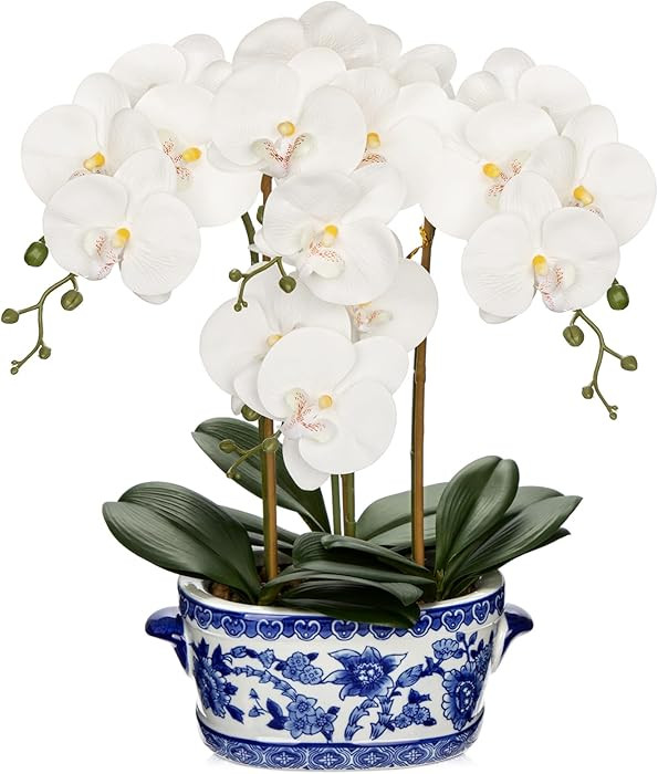 Briful Orchid Artificial Flowers in Blue and White Porcelain Pot 19.7" White Faux Silk Orchid Arr... | Amazon (US)