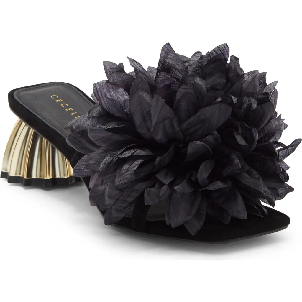 Cecelia New York Dahlia Slide Sandal in Black at Nordstrom, Size 6 | Nordstrom