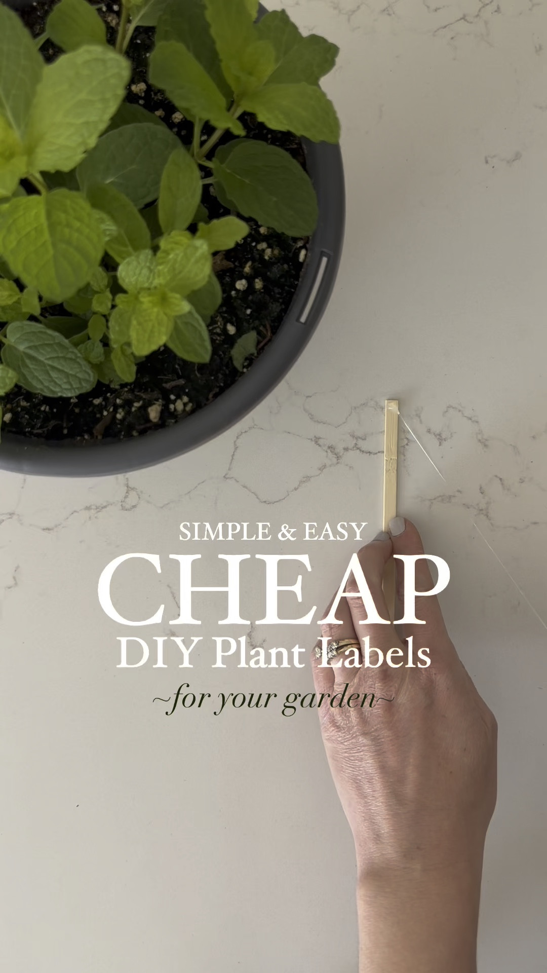 Simple, easy, cheap, and cute plant labels for your garden. 

#LTKSeasonal #LTKFindsUnder50 #LTKHome