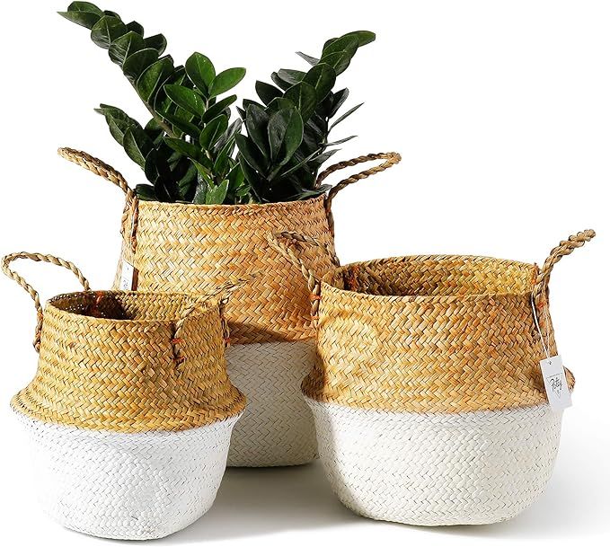 POTEY 730201 Seagrass Plant Basket Set of 3 - Hand Woven Belly Basket with Handles, Large Storage... | Amazon (US)